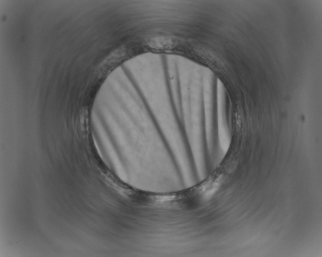 X0000072940233200608181349