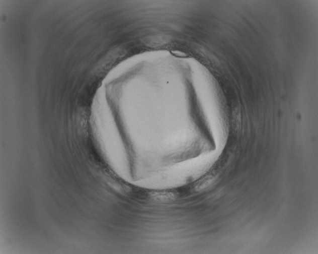 X0000072940234200608181349