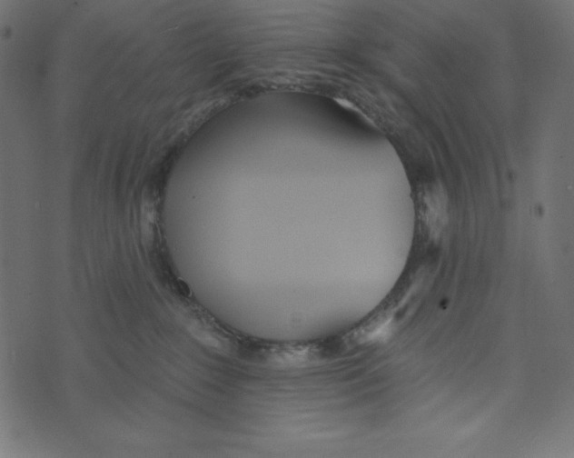 X0000072940235200608181349