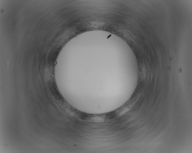 X0000072940236200608181349