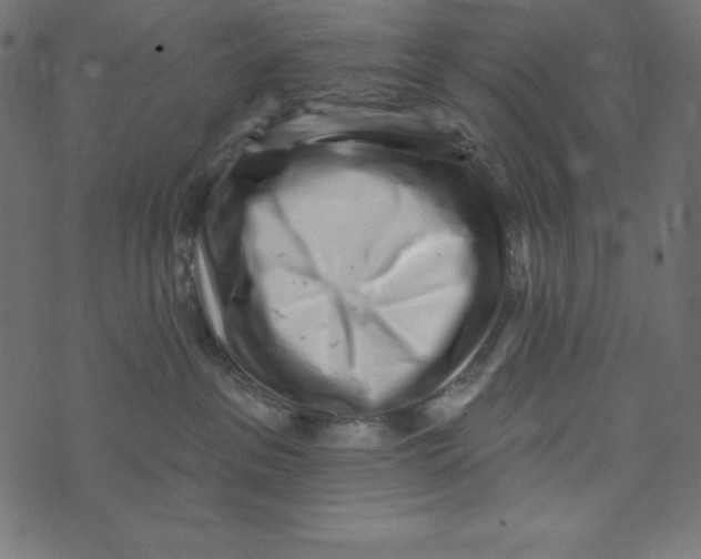 X0000072940237200608181349