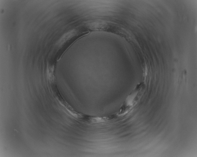 X0000072940239200608181349