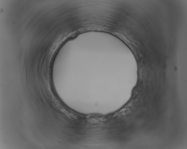 X0000072940241200608181348