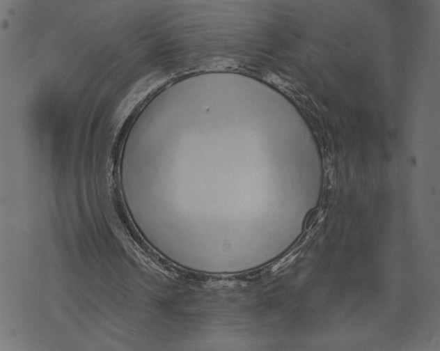 X0000072940242200608181348