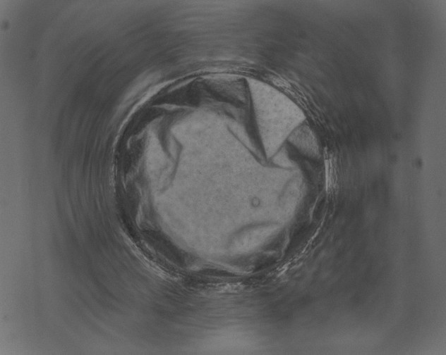 X0000072940243200608181348