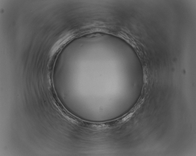 X0000072940245200608181348