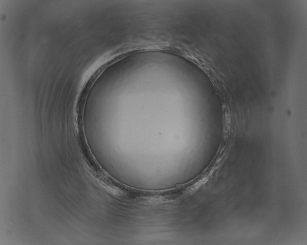 X0000072940246200608181348