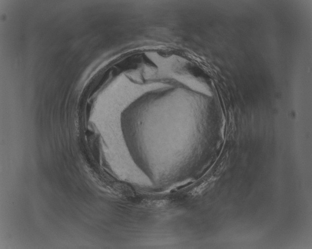 X0000072940247200608181348