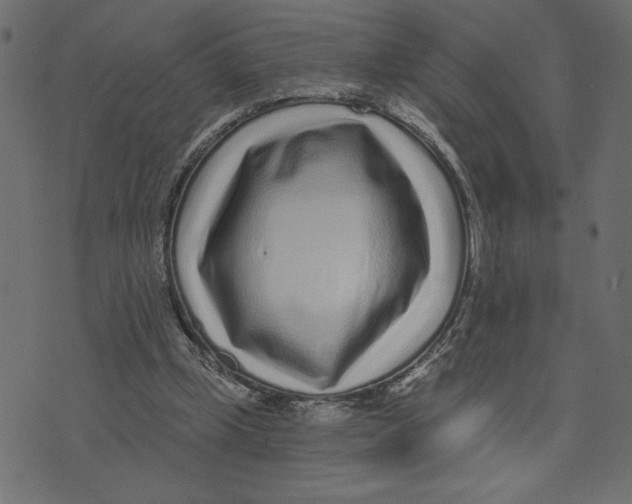 X0000072940249200608181348