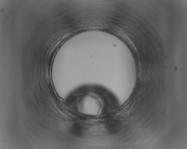 X0000072940251200608181348