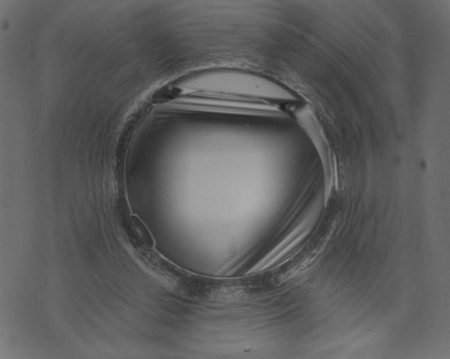 X0000072940252200608181348