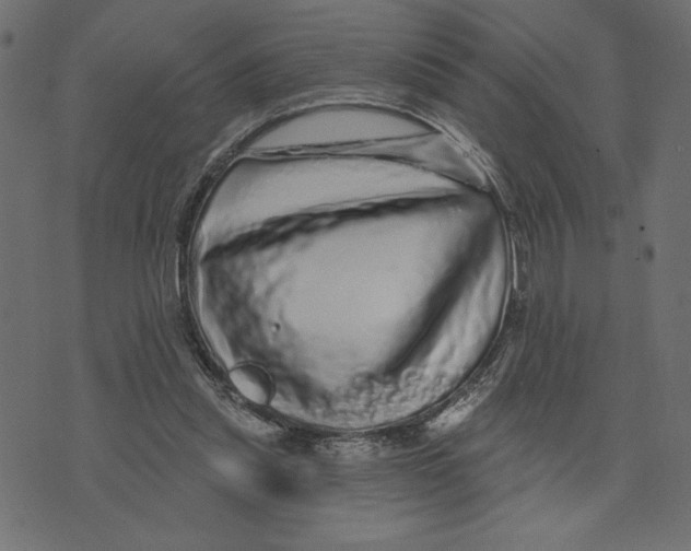 X0000072940253200608181348