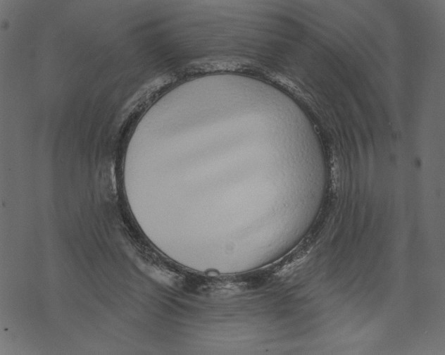 X0000072940254200608181348