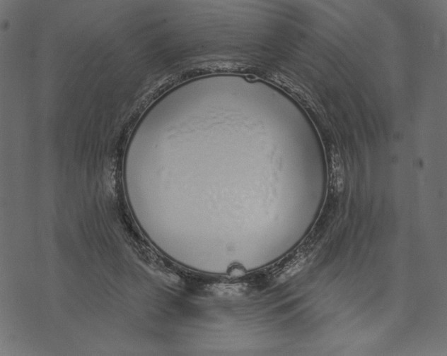 X0000072940255200608181348