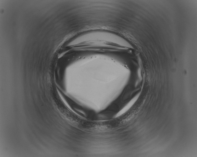 X0000072940256200608181348