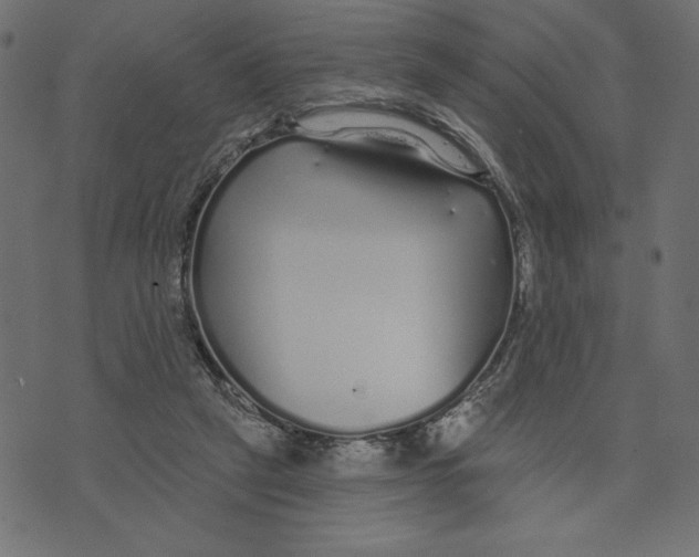 X0000072940257200608181348