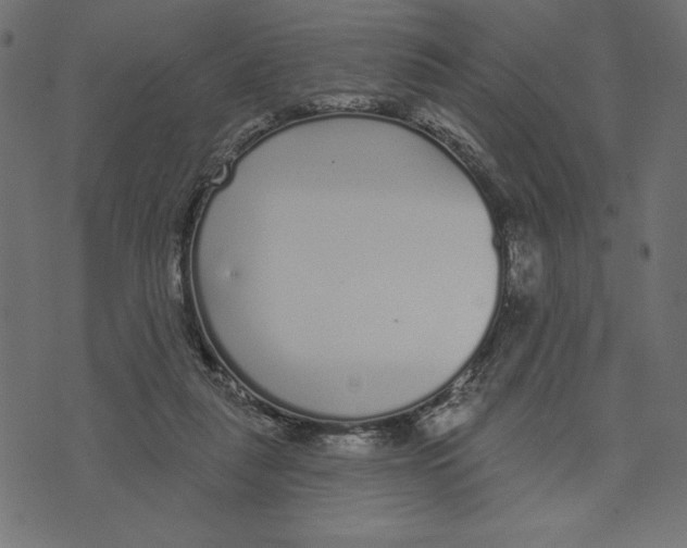 X0000072940259200608181348