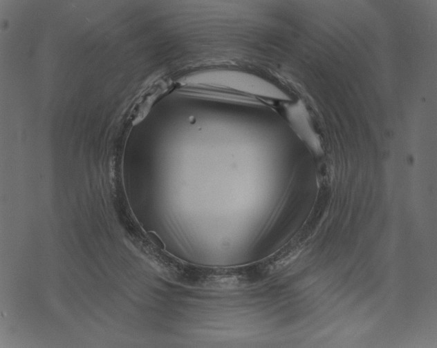 X0000072940260200608181348