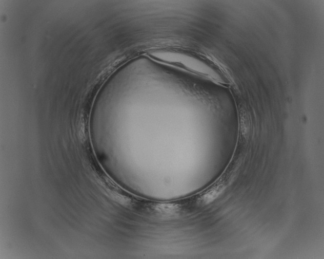 X0000072940261200608181348