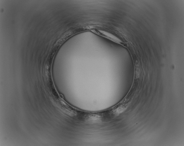 X0000072940263200608181348