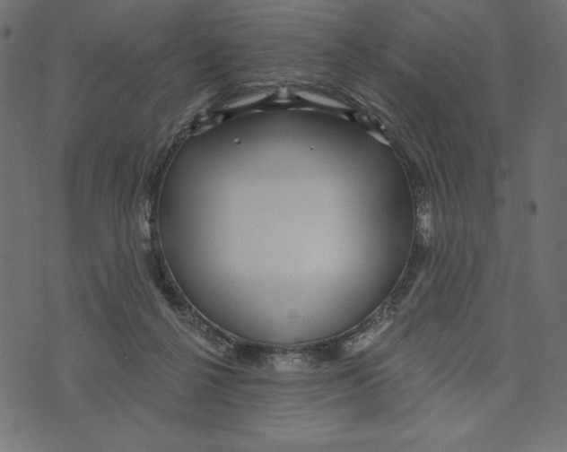 X0000072940264200608181348