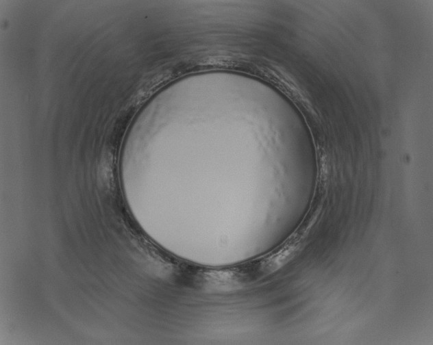 X0000072940265200608181348