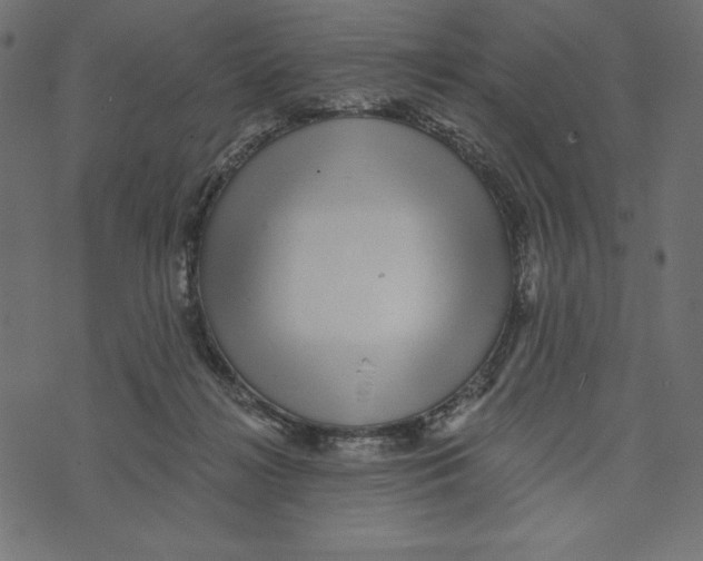 X0000072940268200608181348