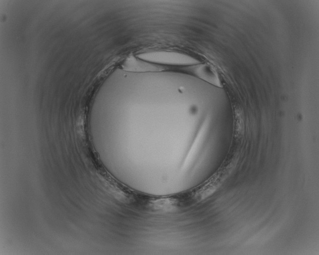 X0000072940269200608181348