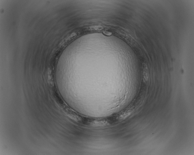 X0000072940270200608181348