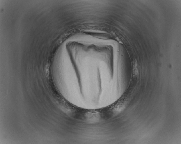 X0000072940271200608181348