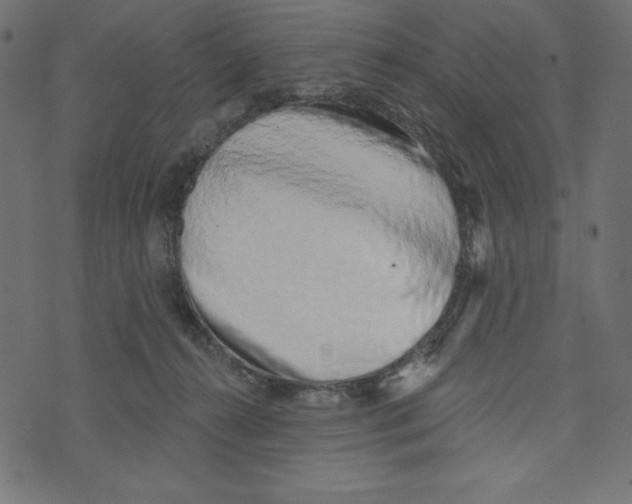 X0000072940272200608181348