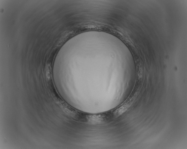 X0000072940273200608181348