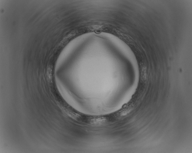 X0000072940274200608181348