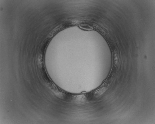 X0000072940275200608181348