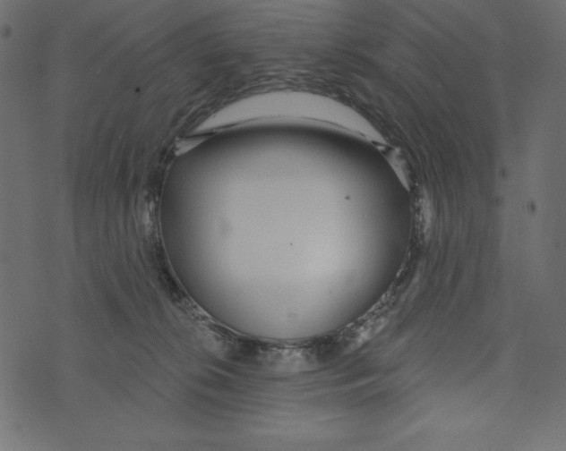 X0000072940276200608181348