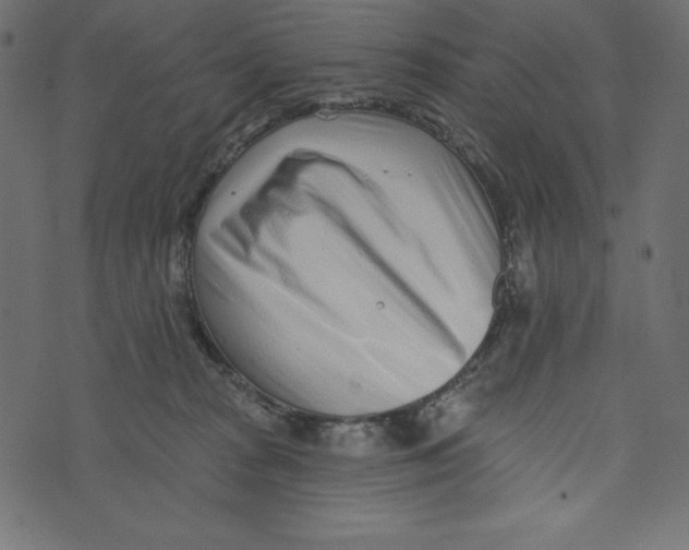 X0000072940277200608181348