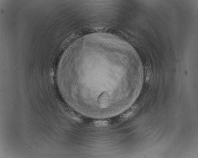 X0000072940279200608181348