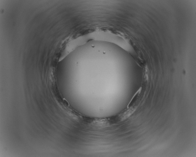 X0000072940280200608181348