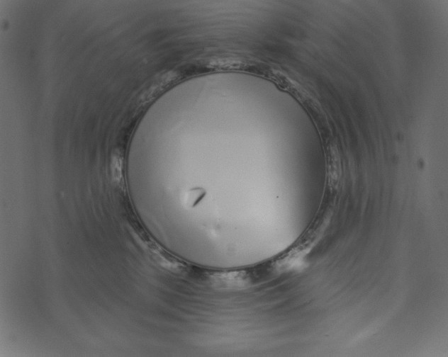 X0000072940281200608181349