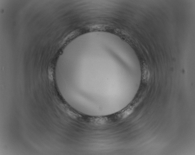 X0000072940282200608181349