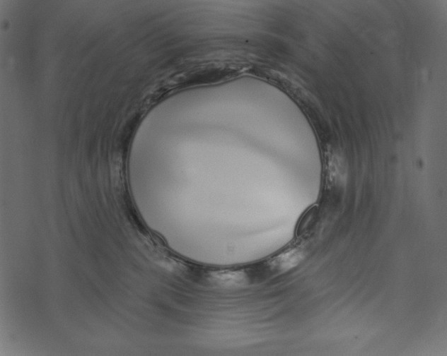 X0000072940283200608181349