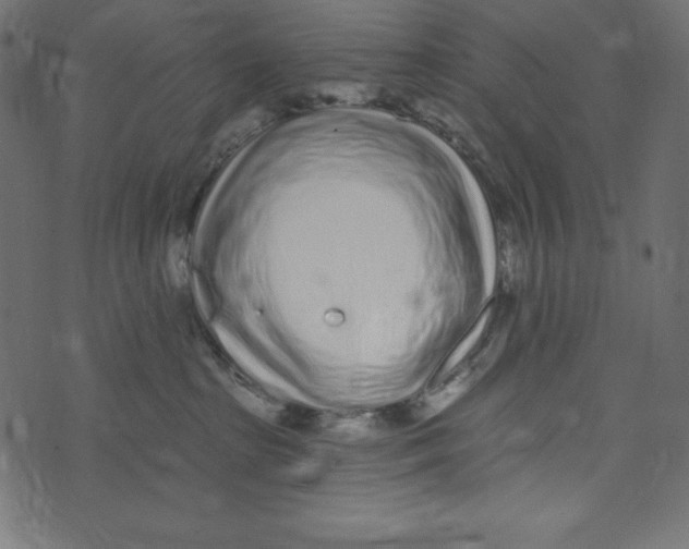 X0000072940285200608181349