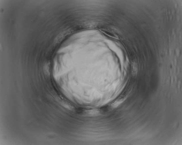 X0000072940286200608181349