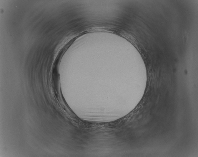 X0000072940289200608181348