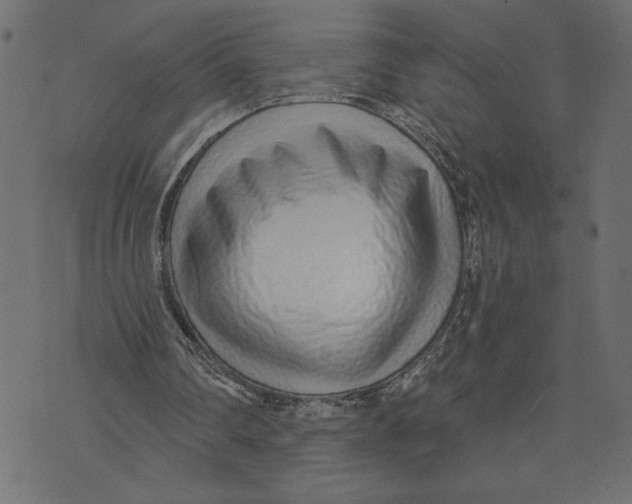 X0000072940290200608181348