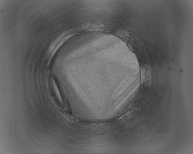 X0000072940291200608181348