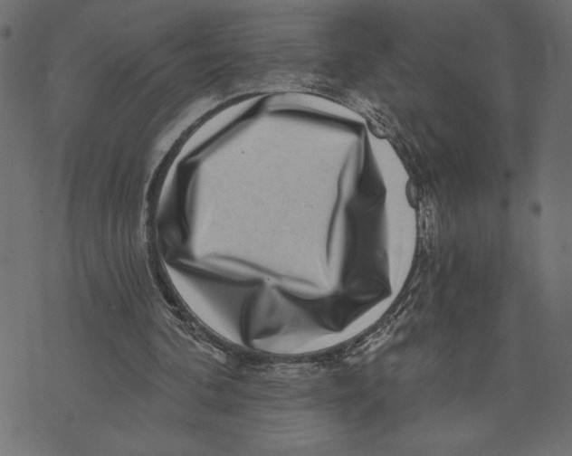 X0000072940292200608181348