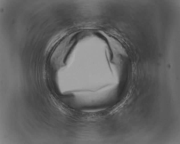 X0000072940293200608181348