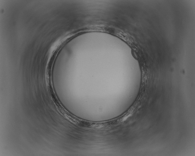 X0000072940294200608181348