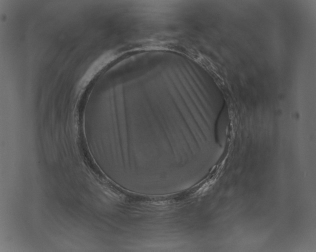 X0000072940295200608181348